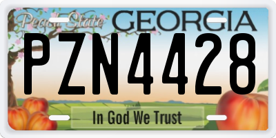 GA license plate PZN4428