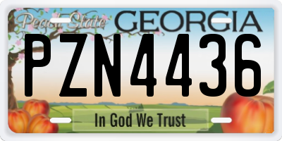GA license plate PZN4436