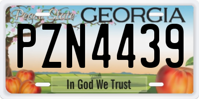 GA license plate PZN4439