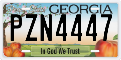 GA license plate PZN4447