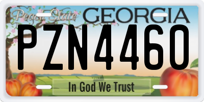 GA license plate PZN4460