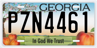 GA license plate PZN4461