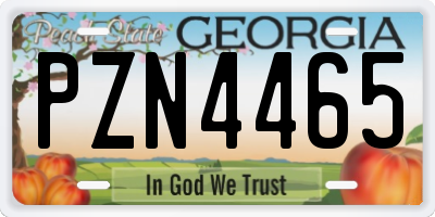 GA license plate PZN4465