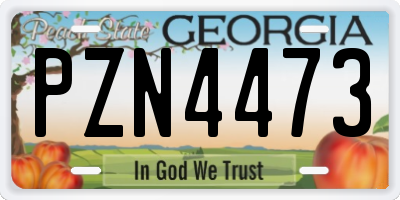 GA license plate PZN4473