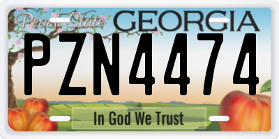 GA license plate PZN4474