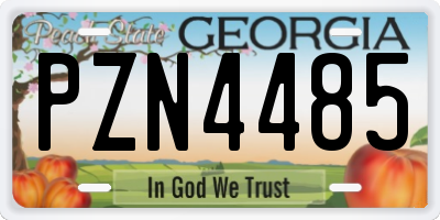 GA license plate PZN4485