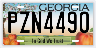 GA license plate PZN4490