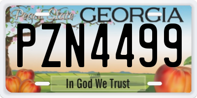 GA license plate PZN4499