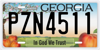 GA license plate PZN4511