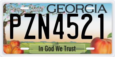 GA license plate PZN4521