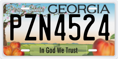 GA license plate PZN4524