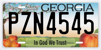 GA license plate PZN4545