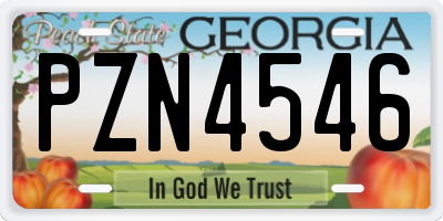 GA license plate PZN4546