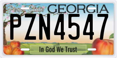 GA license plate PZN4547