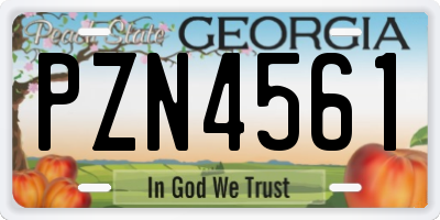 GA license plate PZN4561