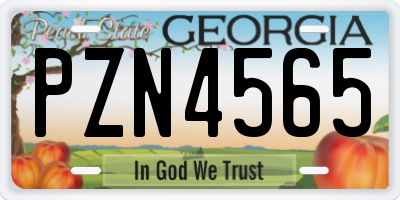 GA license plate PZN4565