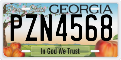 GA license plate PZN4568