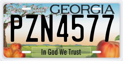 GA license plate PZN4577