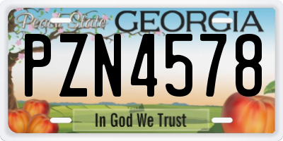GA license plate PZN4578