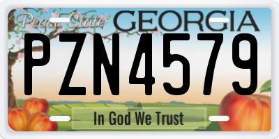 GA license plate PZN4579