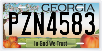 GA license plate PZN4583