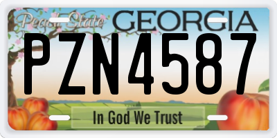 GA license plate PZN4587