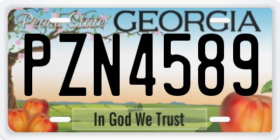 GA license plate PZN4589
