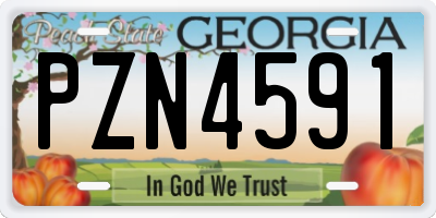 GA license plate PZN4591