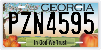 GA license plate PZN4595