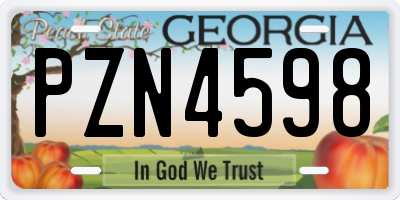 GA license plate PZN4598