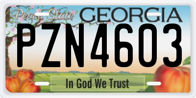 GA license plate PZN4603