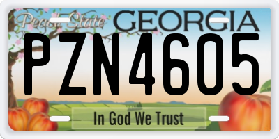 GA license plate PZN4605
