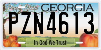 GA license plate PZN4613