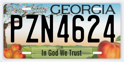 GA license plate PZN4624