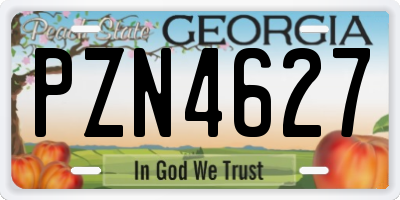 GA license plate PZN4627