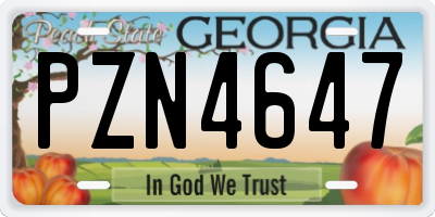 GA license plate PZN4647