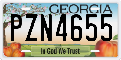 GA license plate PZN4655