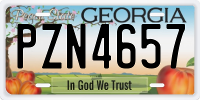 GA license plate PZN4657
