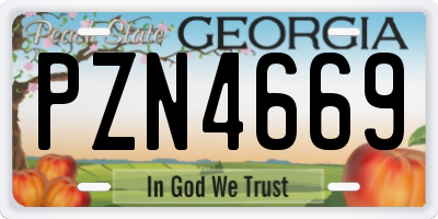 GA license plate PZN4669