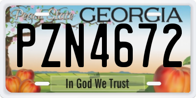 GA license plate PZN4672