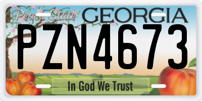 GA license plate PZN4673