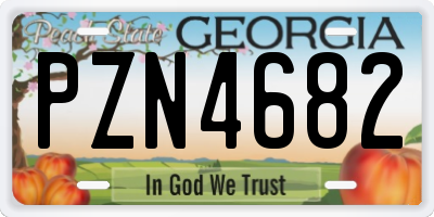 GA license plate PZN4682