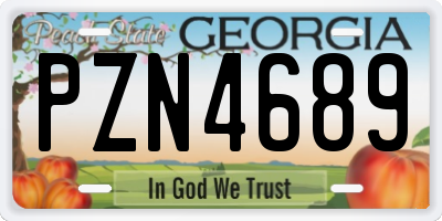 GA license plate PZN4689