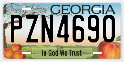 GA license plate PZN4690