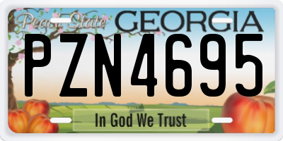 GA license plate PZN4695