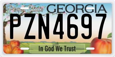 GA license plate PZN4697