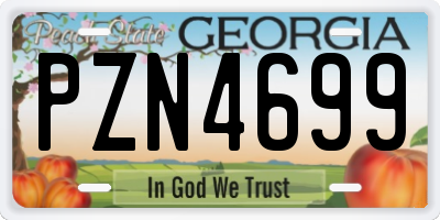 GA license plate PZN4699