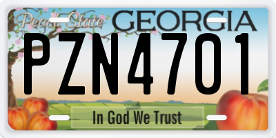 GA license plate PZN4701