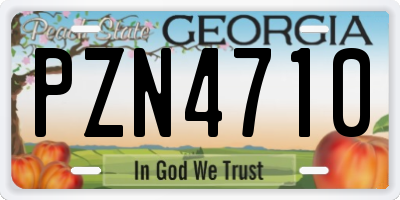 GA license plate PZN4710