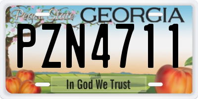 GA license plate PZN4711